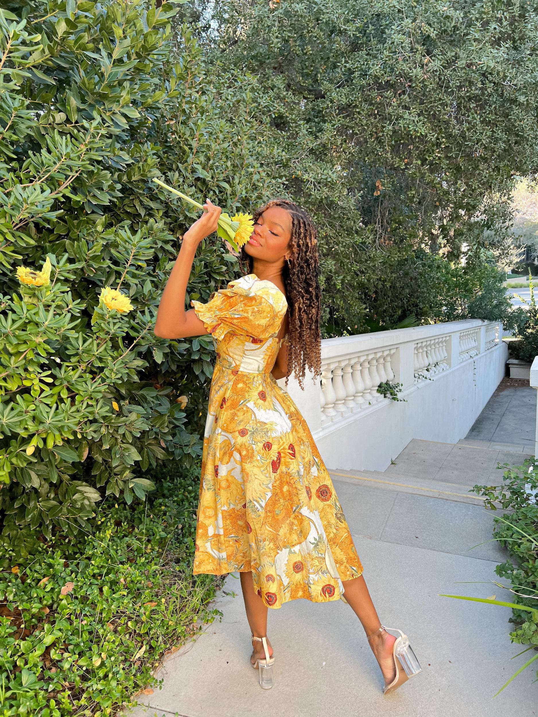 Sunflowers Tea Rose Dress Product Image