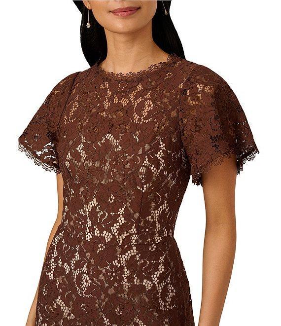 Adrianna Papell Illusion Crew Neck Flutter Sleeve Lace Shift Dress Product Image
