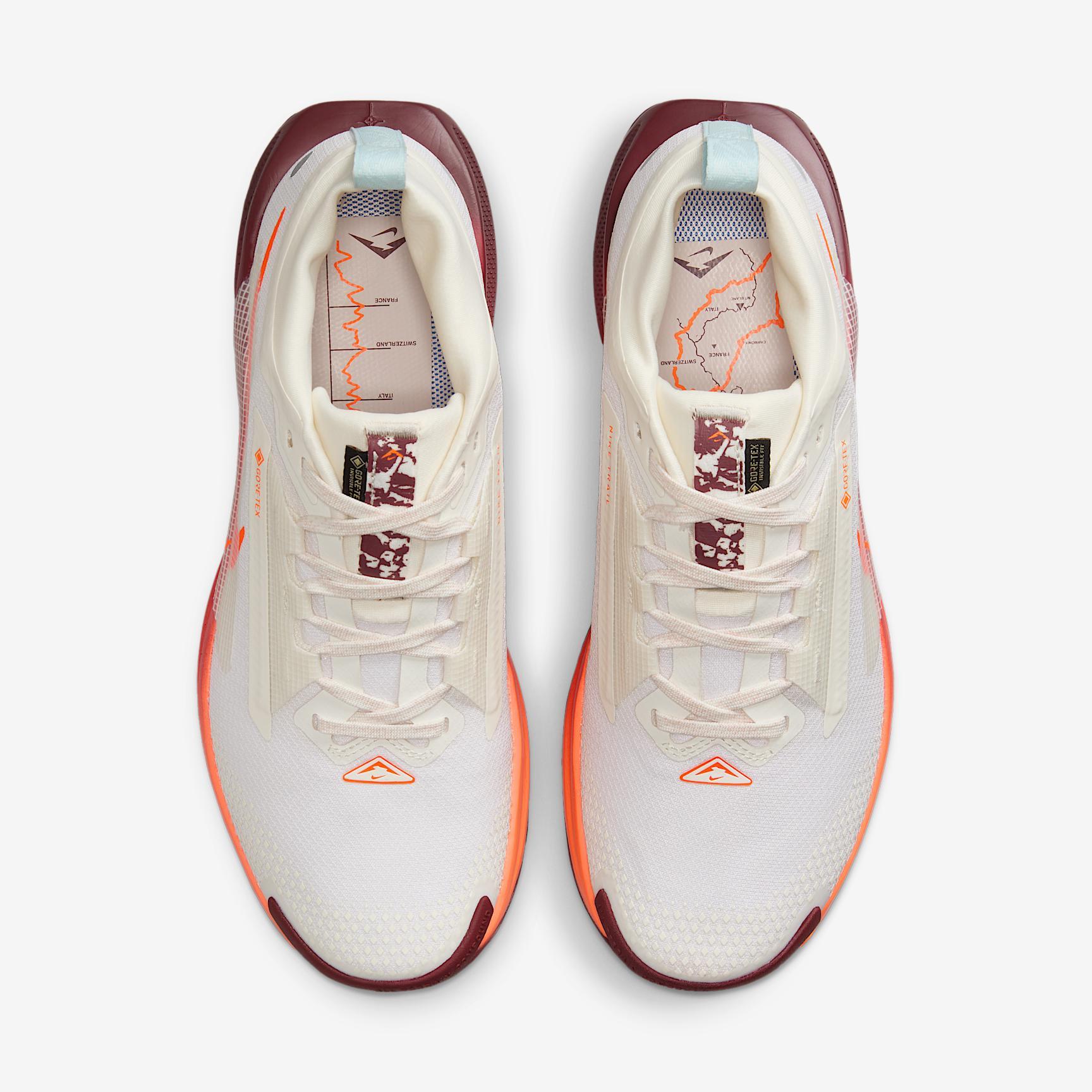 Nike Women's Pegasus Trail 5 GORE-TEX Waterproof Trail Running Shoes Product Image