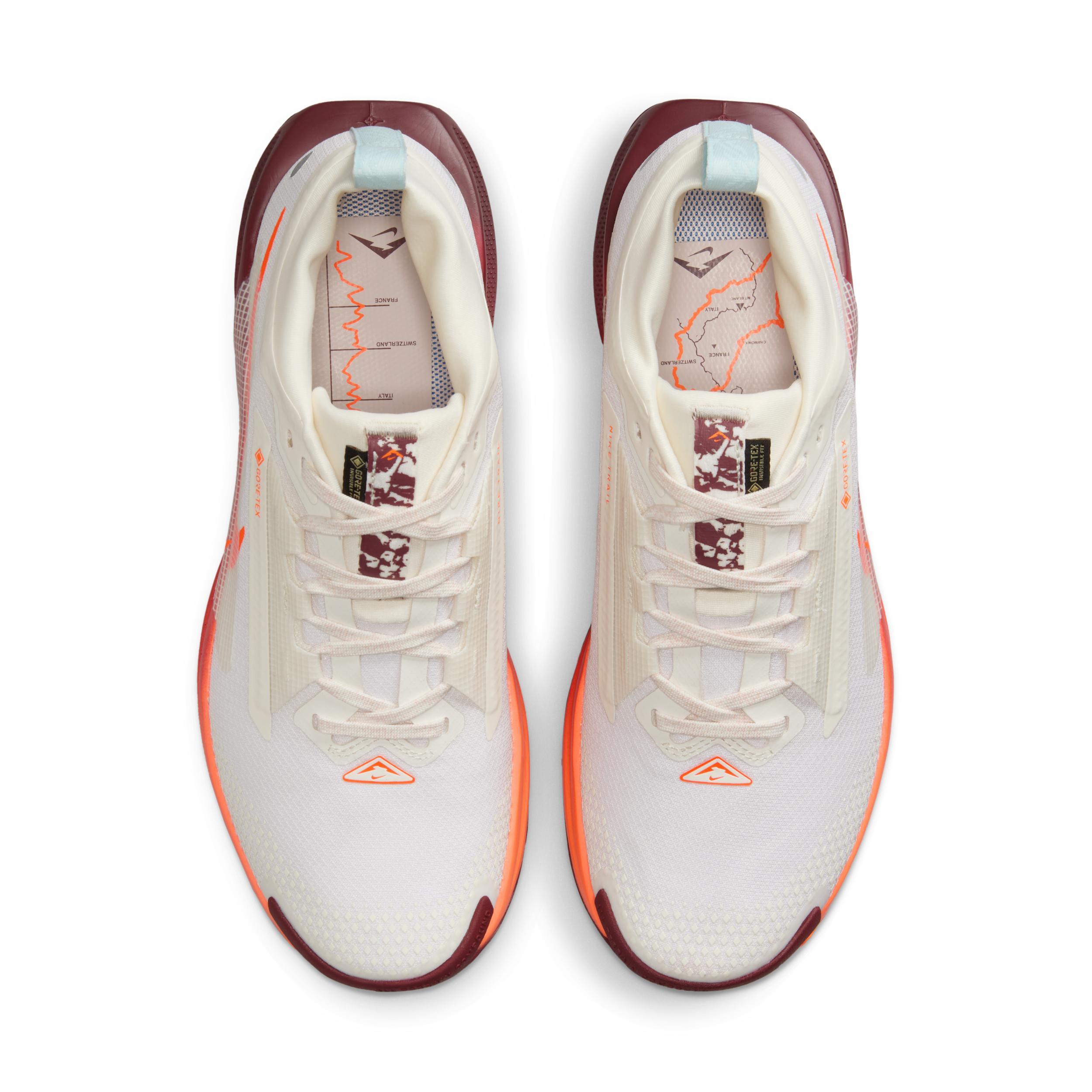 Nike Women's Pegasus Trail 5 GORE-TEX Waterproof Trail Running Shoes Product Image
