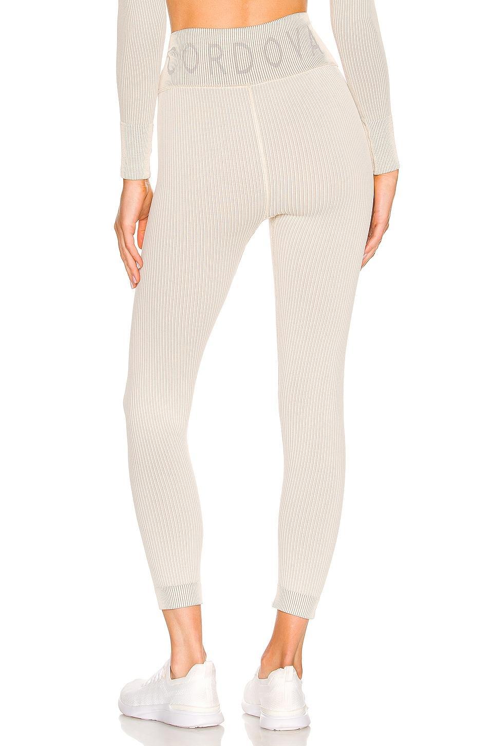 Base Layer Pant CORDOVA Product Image