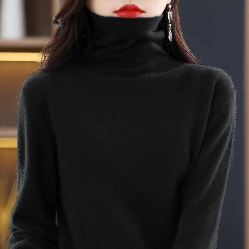 Long-Sleeve Turtleneck Plain Knit Top Product Image