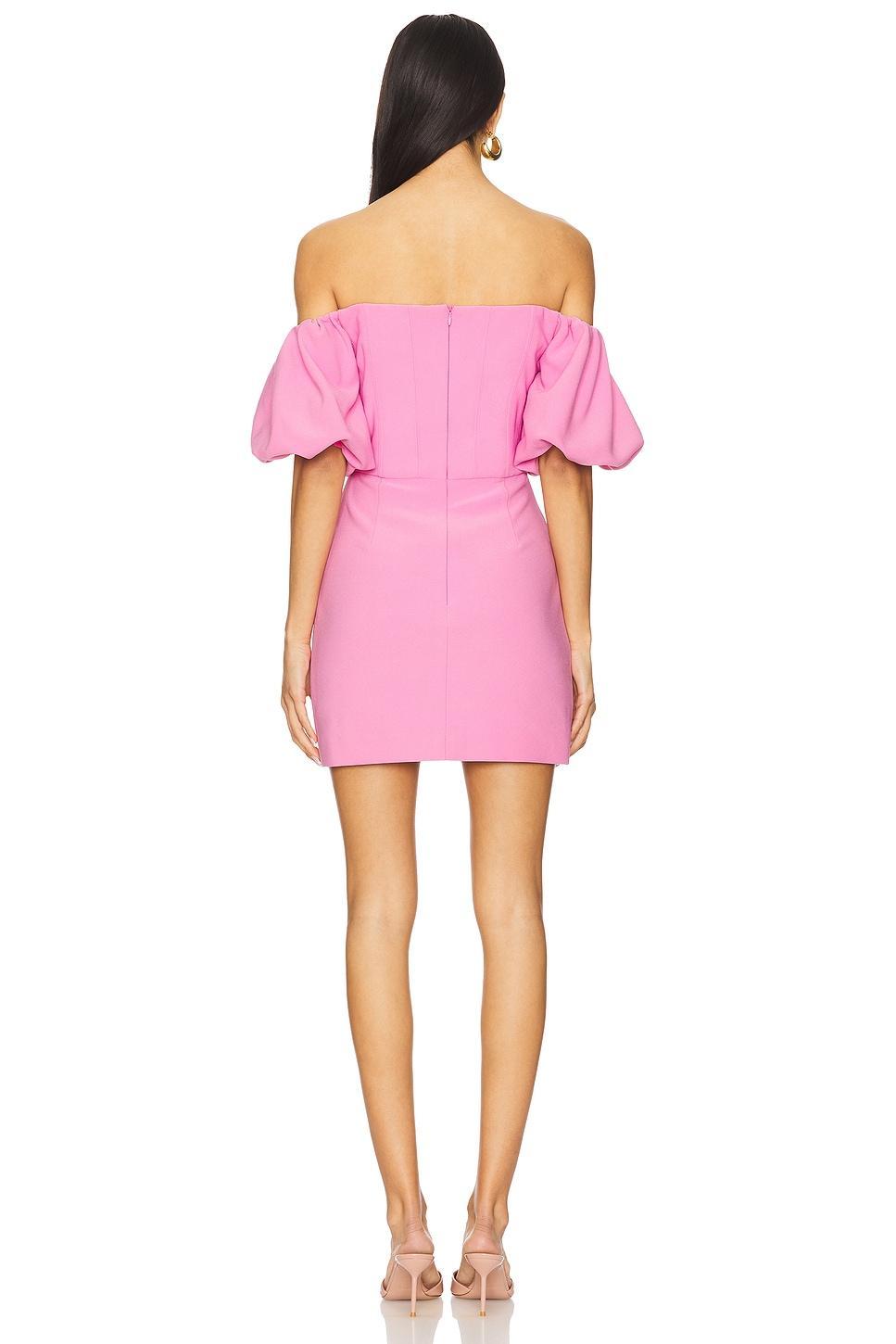 Gia Mini Dress ELLIATT Product Image