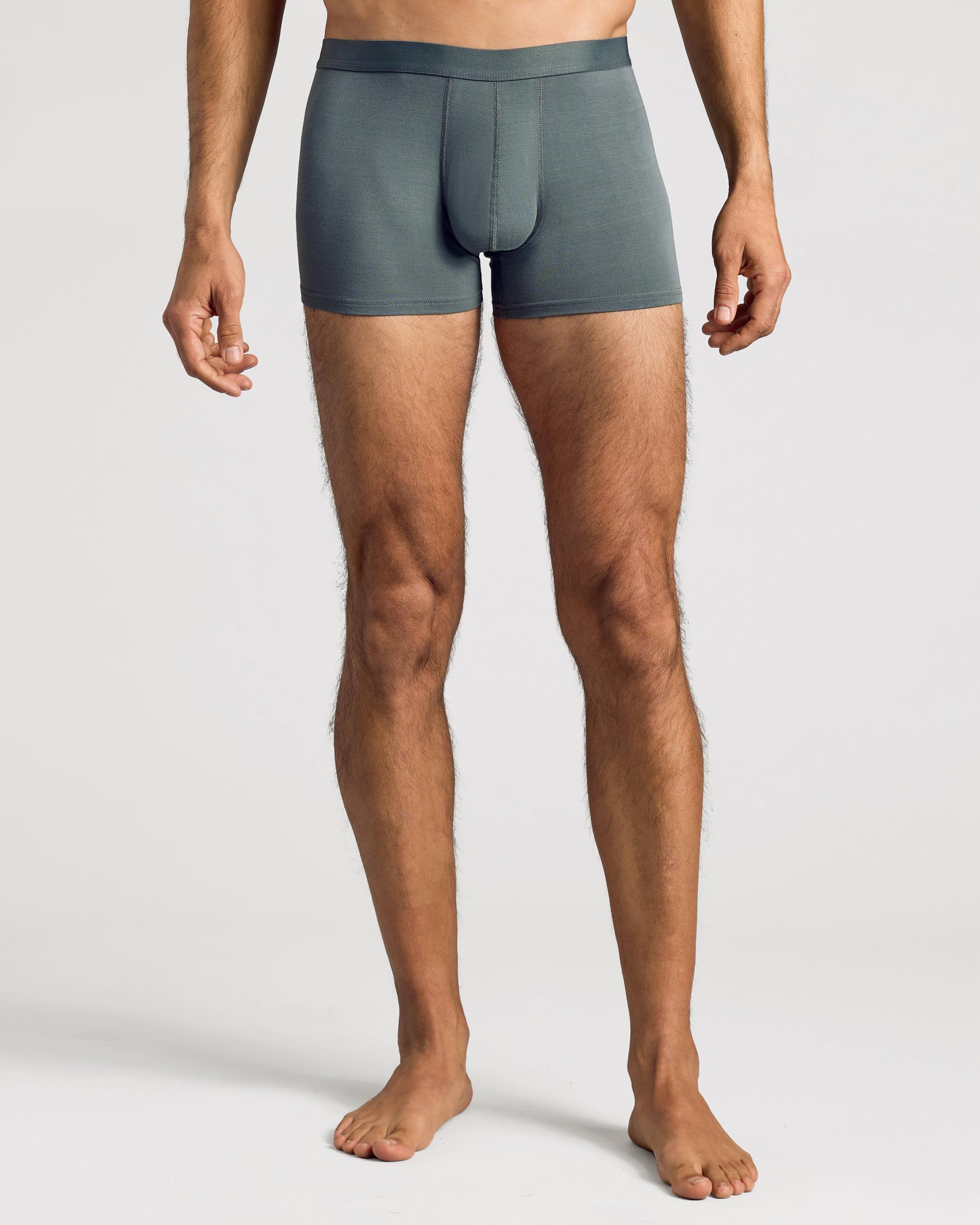 Carbon Boxer Trunks 3-Pack Product Image