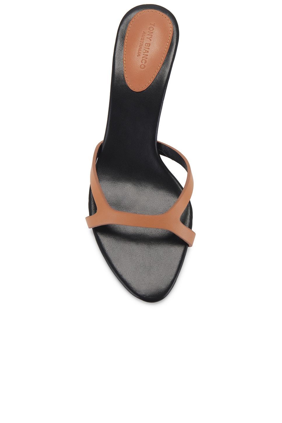 Daisy Sandal Tony Bianco Product Image
