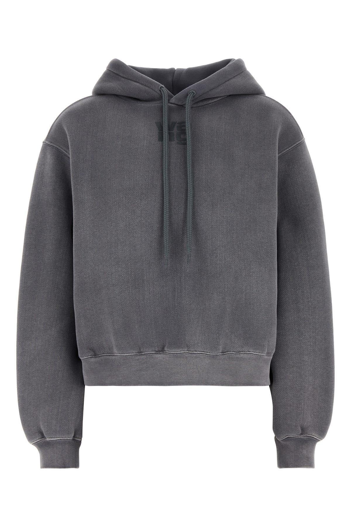 ALEXANDER WANG T Essential Terry Hoodie With Puff Paint Logo-m Nd T By Alexander Wang Female In Grey Product Image
