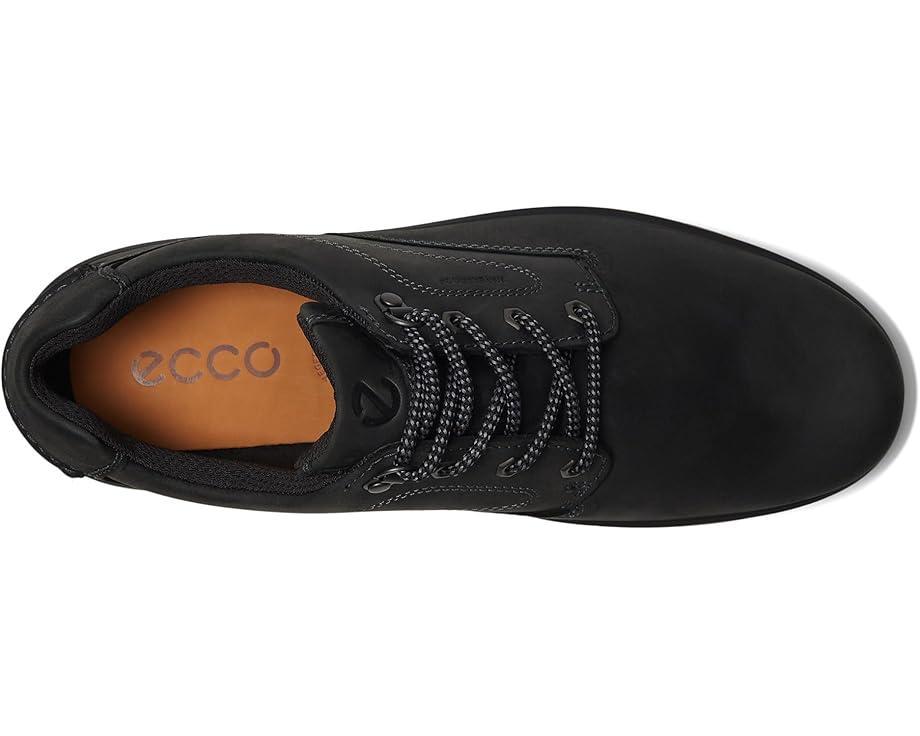 Offroad Cruiser Product Image