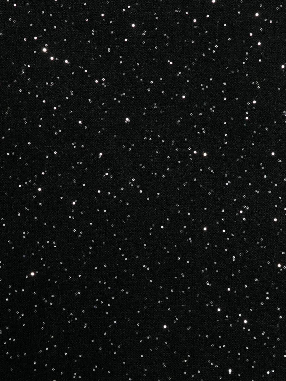 FABIANA FILIPPI Scarf In Black Product Image