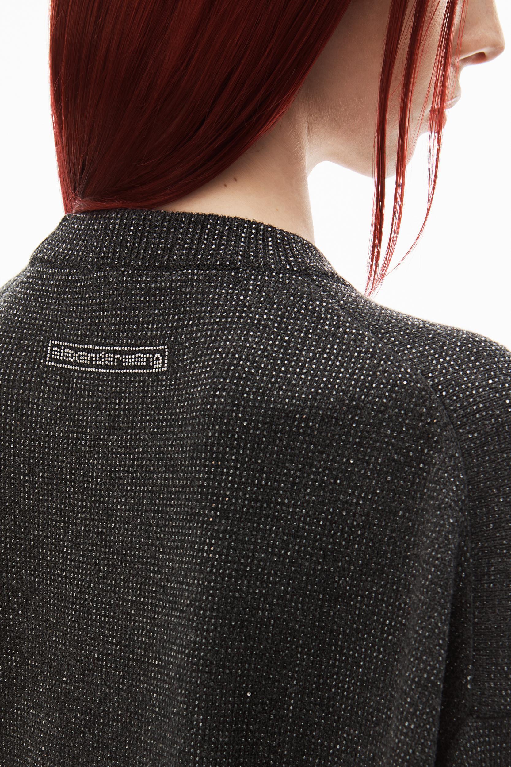 Crystal Hotfix Crewneck Pullover In Wool-cashmere Product Image