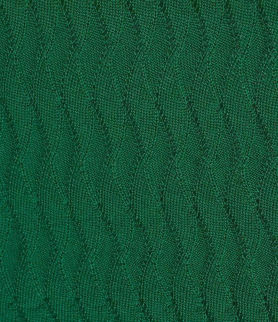 Murano Prehistoric Prep Collection Solid Textured Johnny Sweater Polo Shirt Product Image