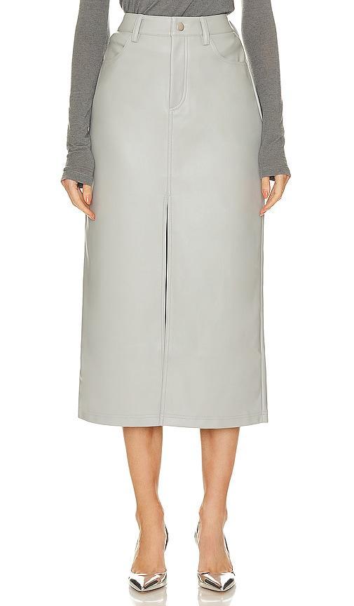 Avani Faux Leather Skirt Product Image