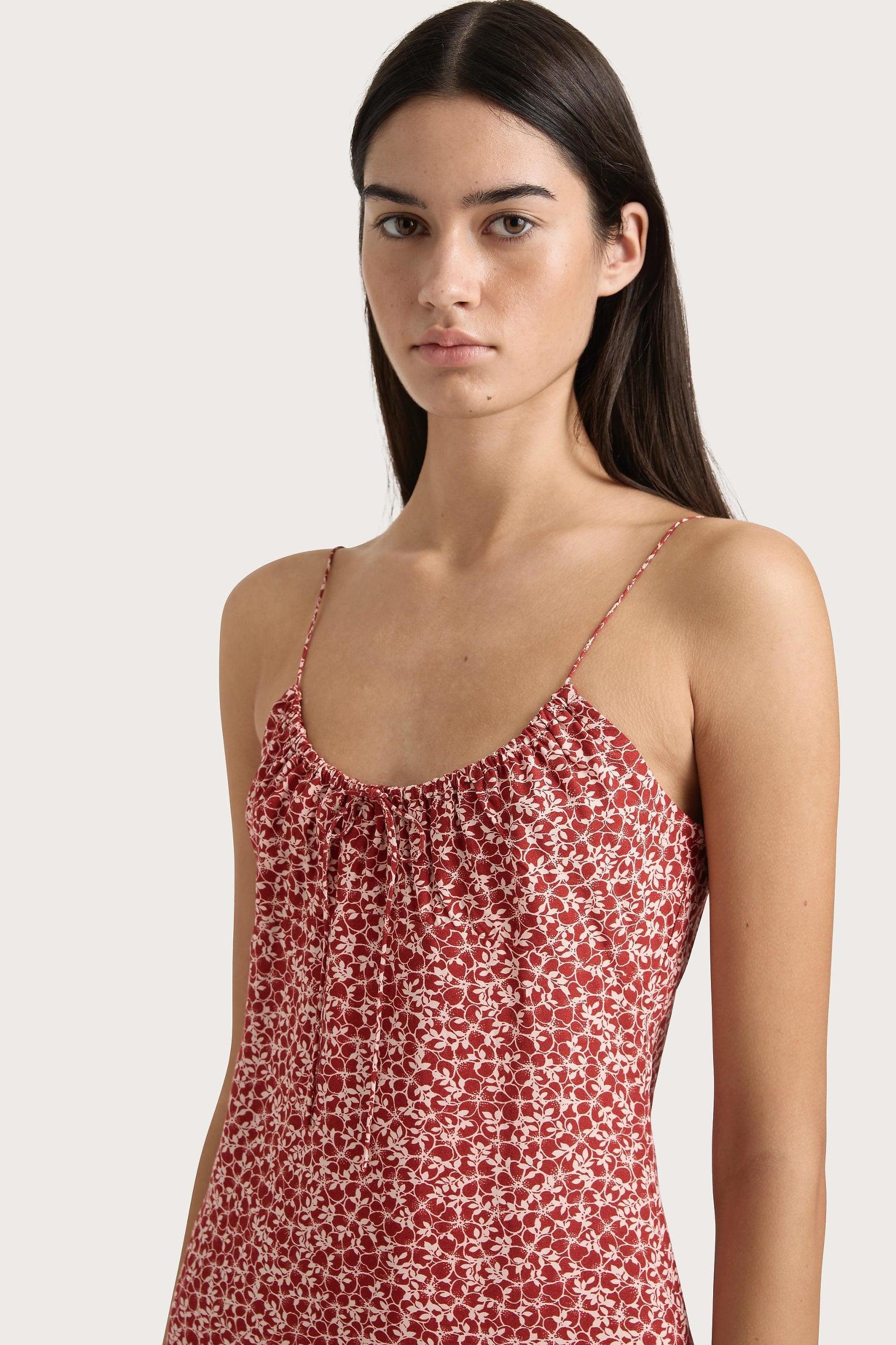 Pau Mini Dress Peony Stamp Garnet Product Image