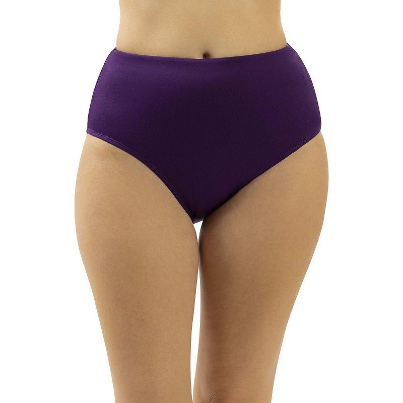 Women's Dolfin High-Waisted Contemporary Brief Swim Bottoms, Size: Medium, Purple Product Image