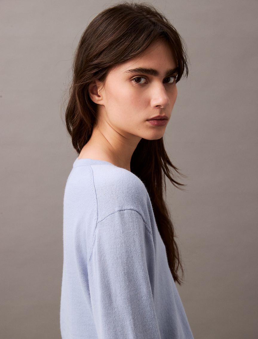 Extra Fine Merino Blend V-Neck Sweater Product Image