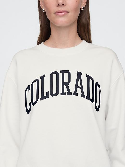 VintageSoft State Logo Sweatshirt Product Image