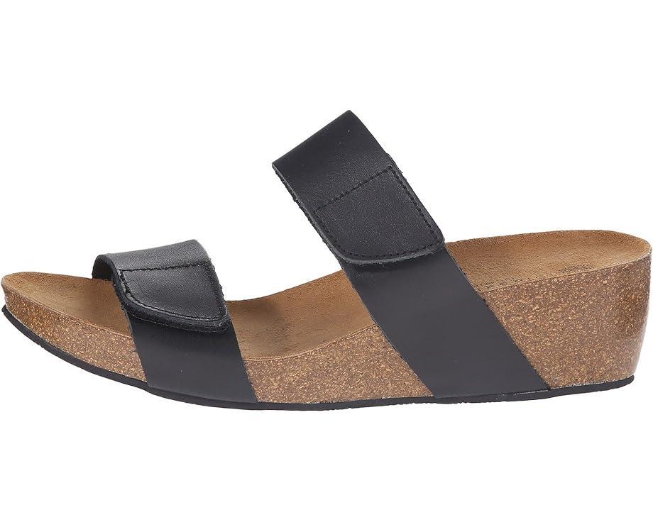 Lily 2 Product Image