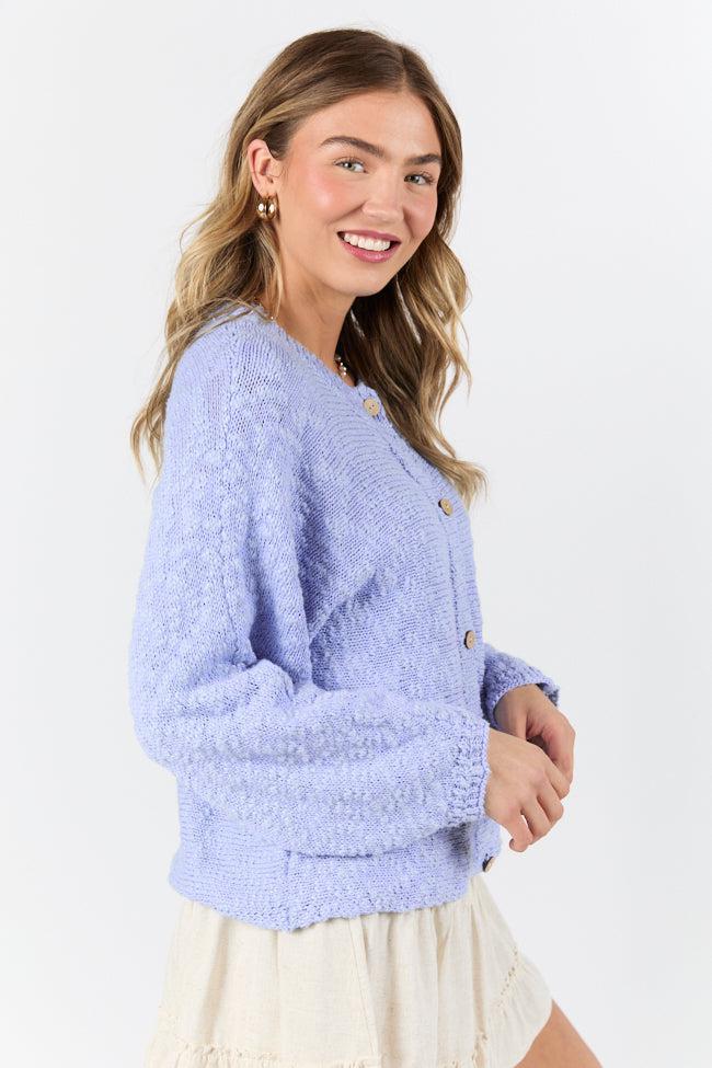 Afternoon Bliss Blue Light Weight Cardigan FINAL SALE Product Image