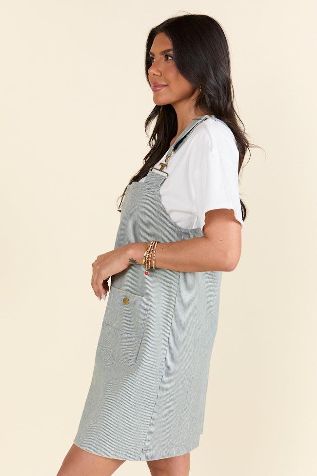 The Shelley Striped Overall Dress Holley Gabrielle X Pink Lily Product Image