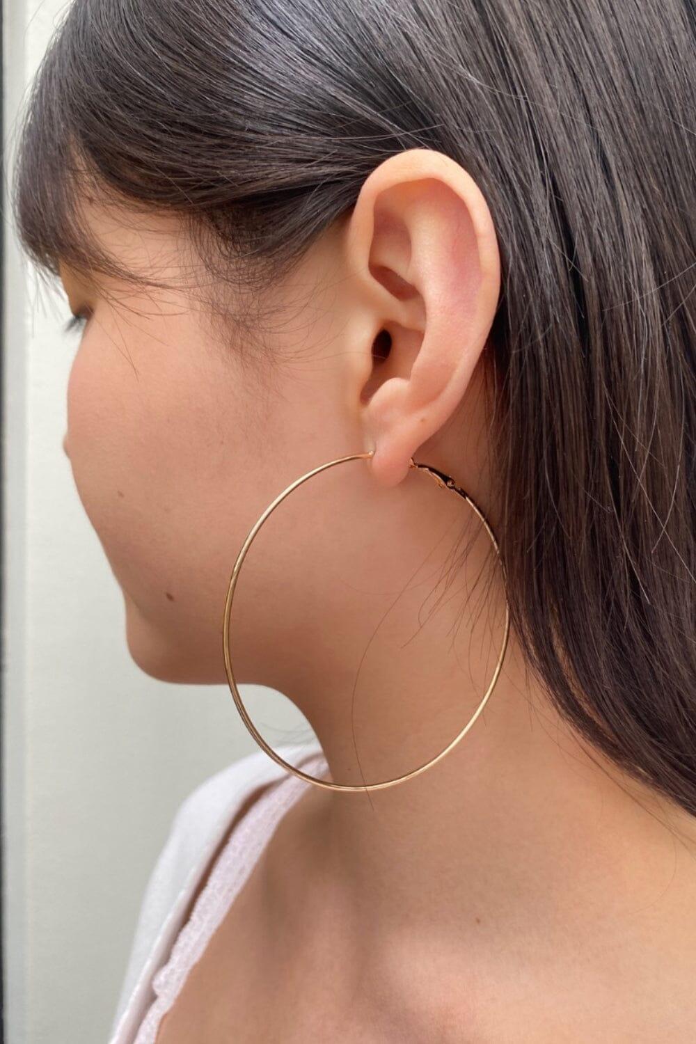 Hoop Earrings Product Image