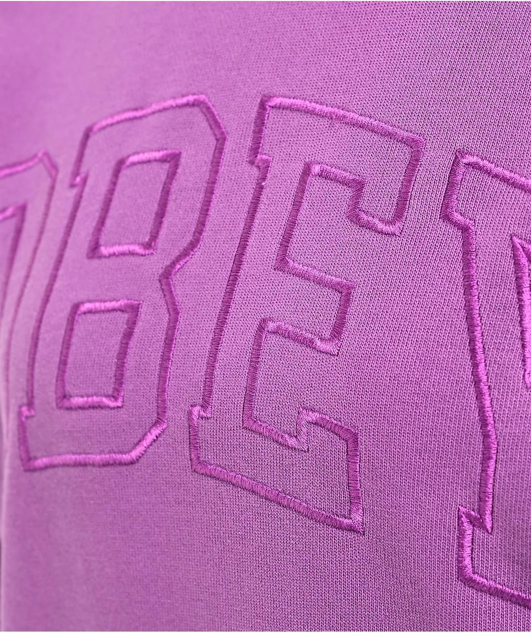 Obey Pigment Dye Collegiate Heavyweight Purple Hoodie Product Image