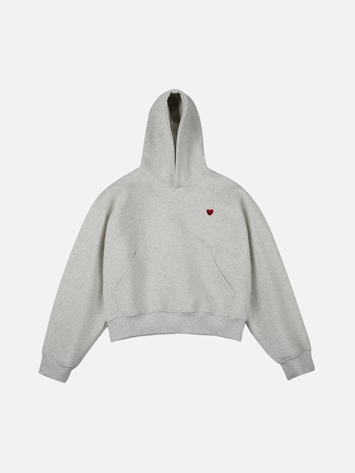 Aelfric Eden Solid Boxy Pullover Hoodie Product Image