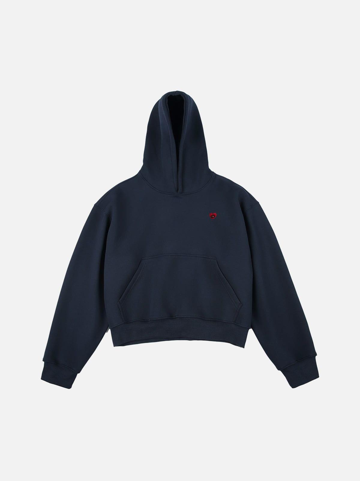Aelfric Eden Solid Boxy Pullover Hoodie Product Image