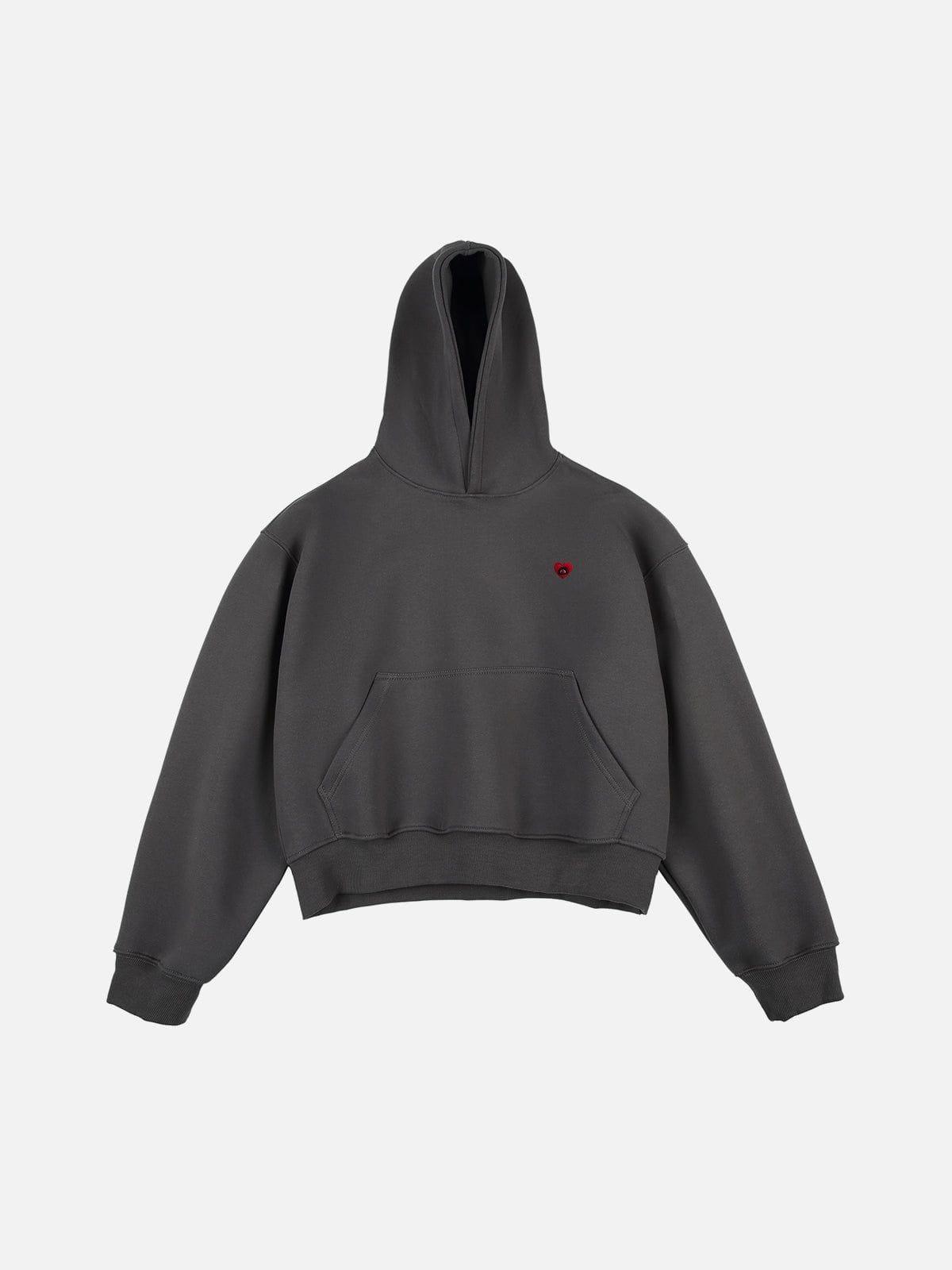 Aelfric Eden Solid Boxy Pullover Hoodie Product Image