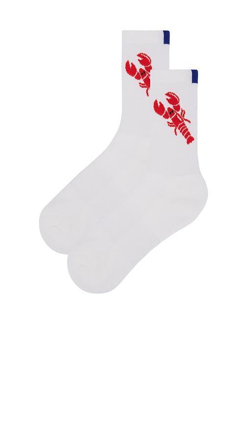 The Women's Lobster Sock Kule Product Image