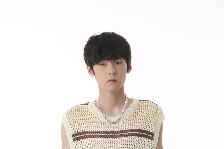 Round Neck Color Block Pointelle Knit Sweater Vest Product Image