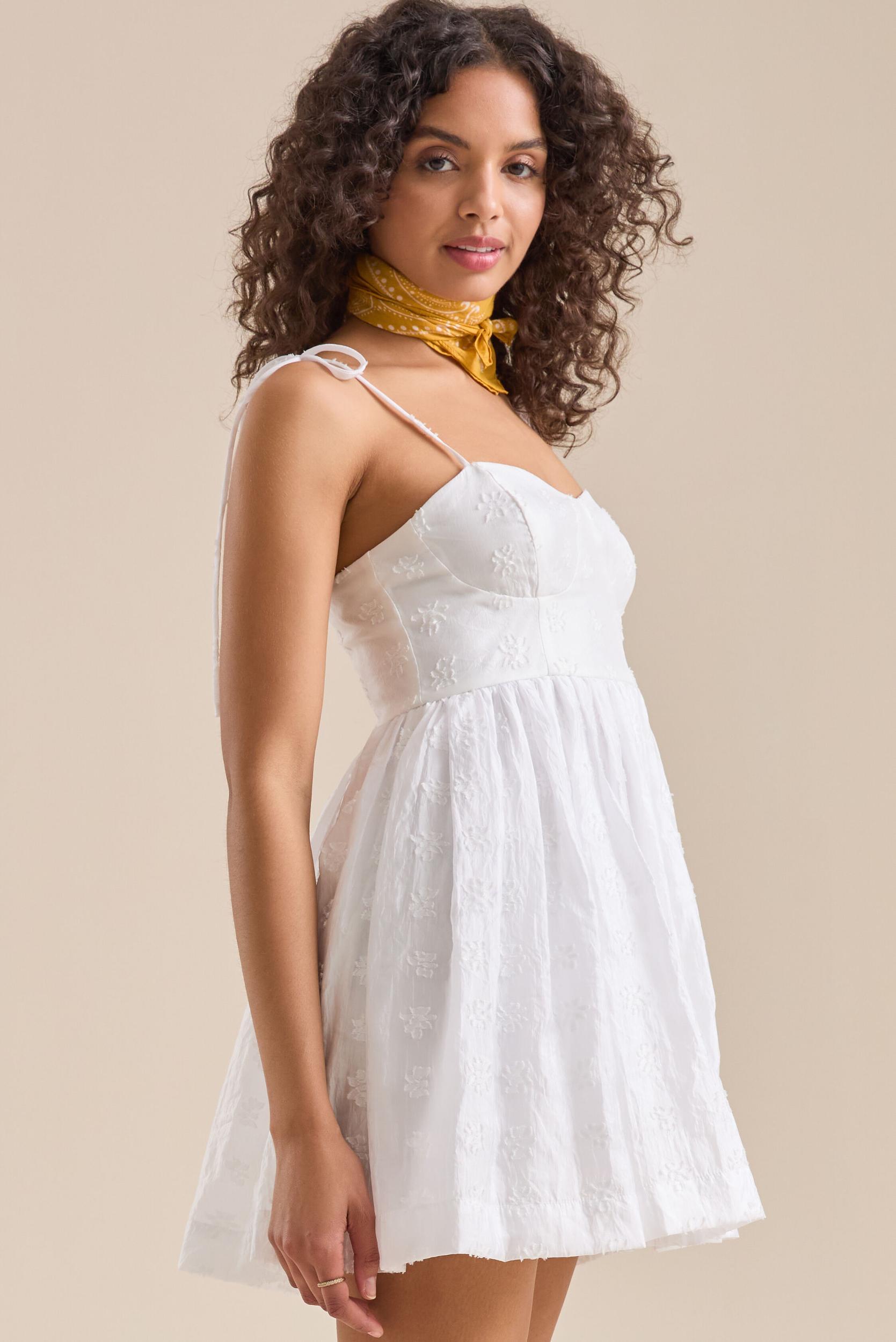 Halen Embroidered Mini Dress Product Image
