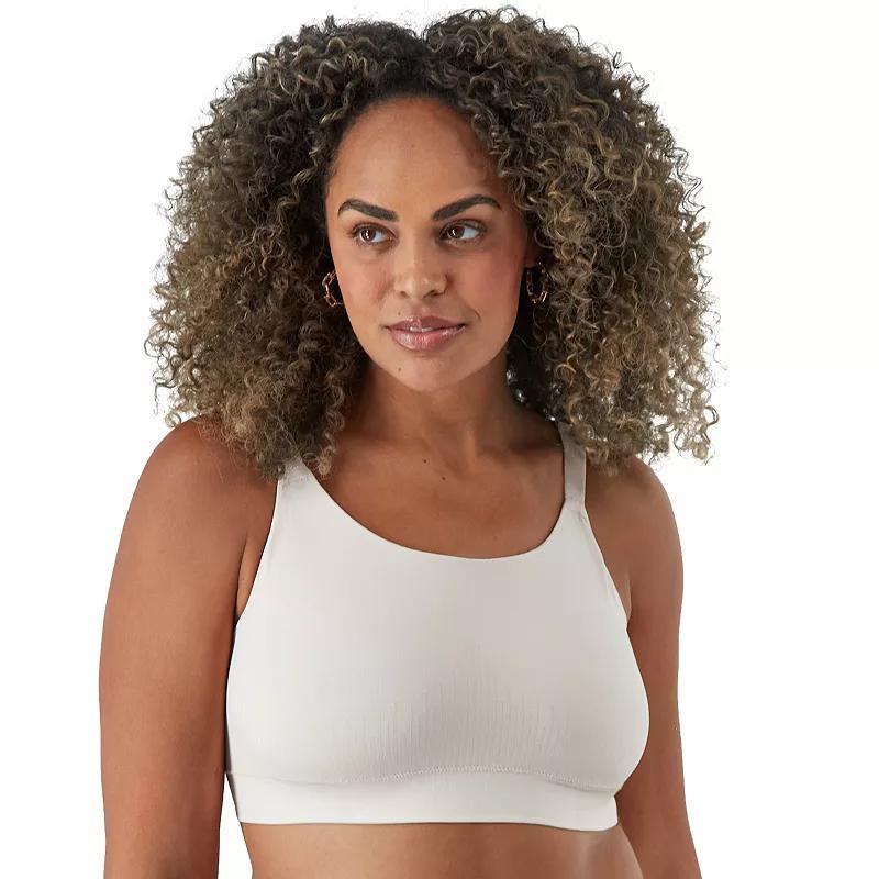 Bali Comfort Revolution Modern Seamless Bralette DFMSBR, Women's, Size: Large, Evening Blush Product Image