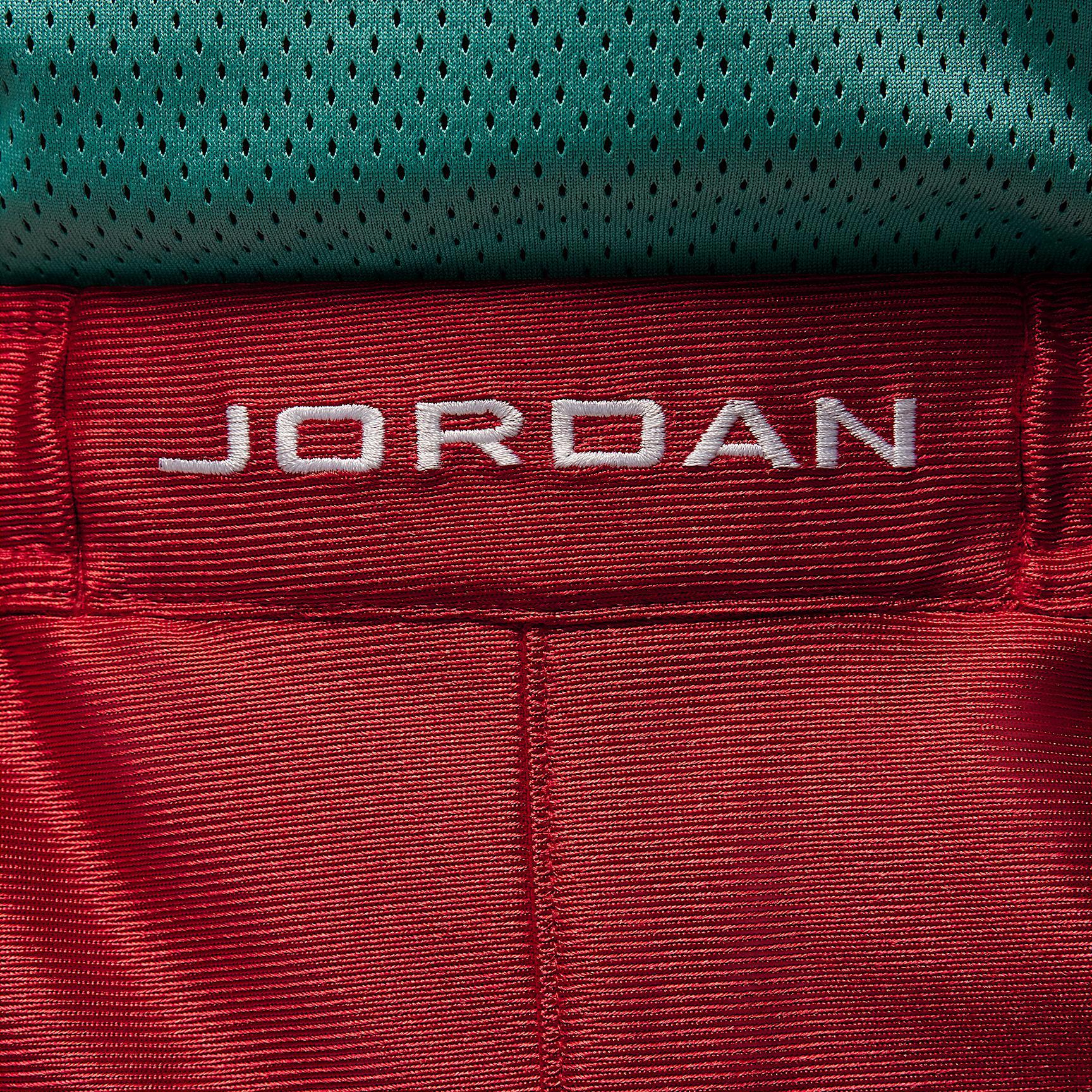 Jordan Brooklyn Cat Scratch Men's Shorts Product Image