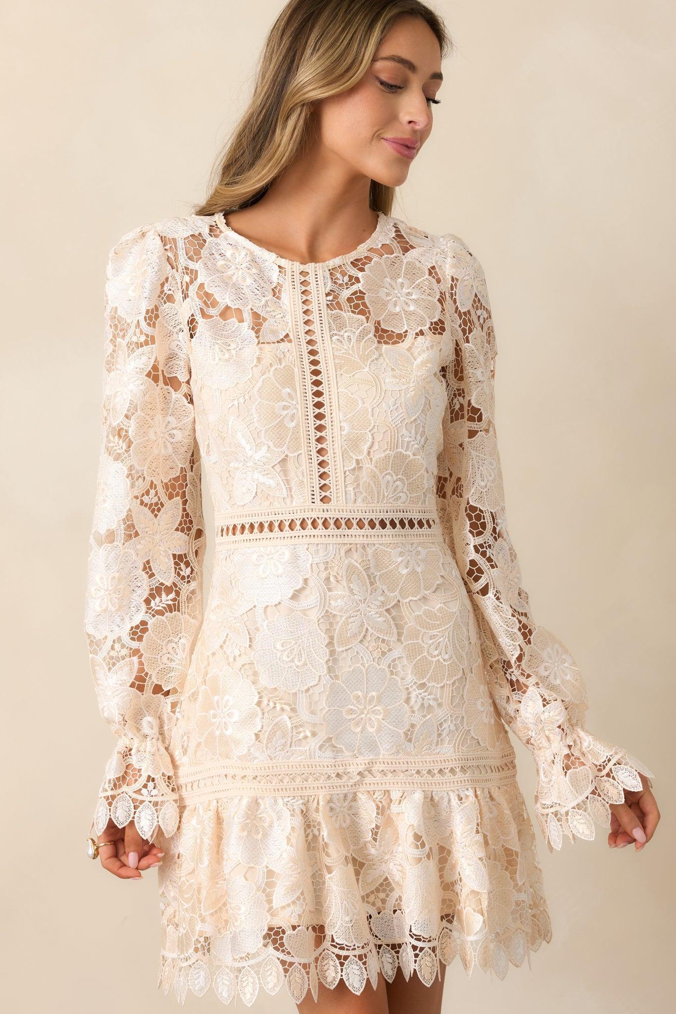 Keep It Authentic Ivory Floral Embroidered Mini Dress Product Image
