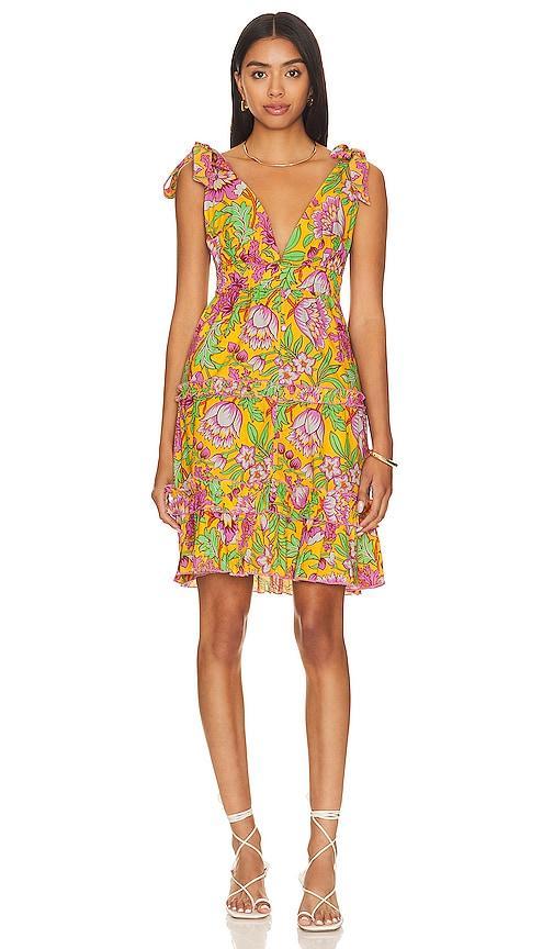 Madelyn Dress Love the Label Product Image