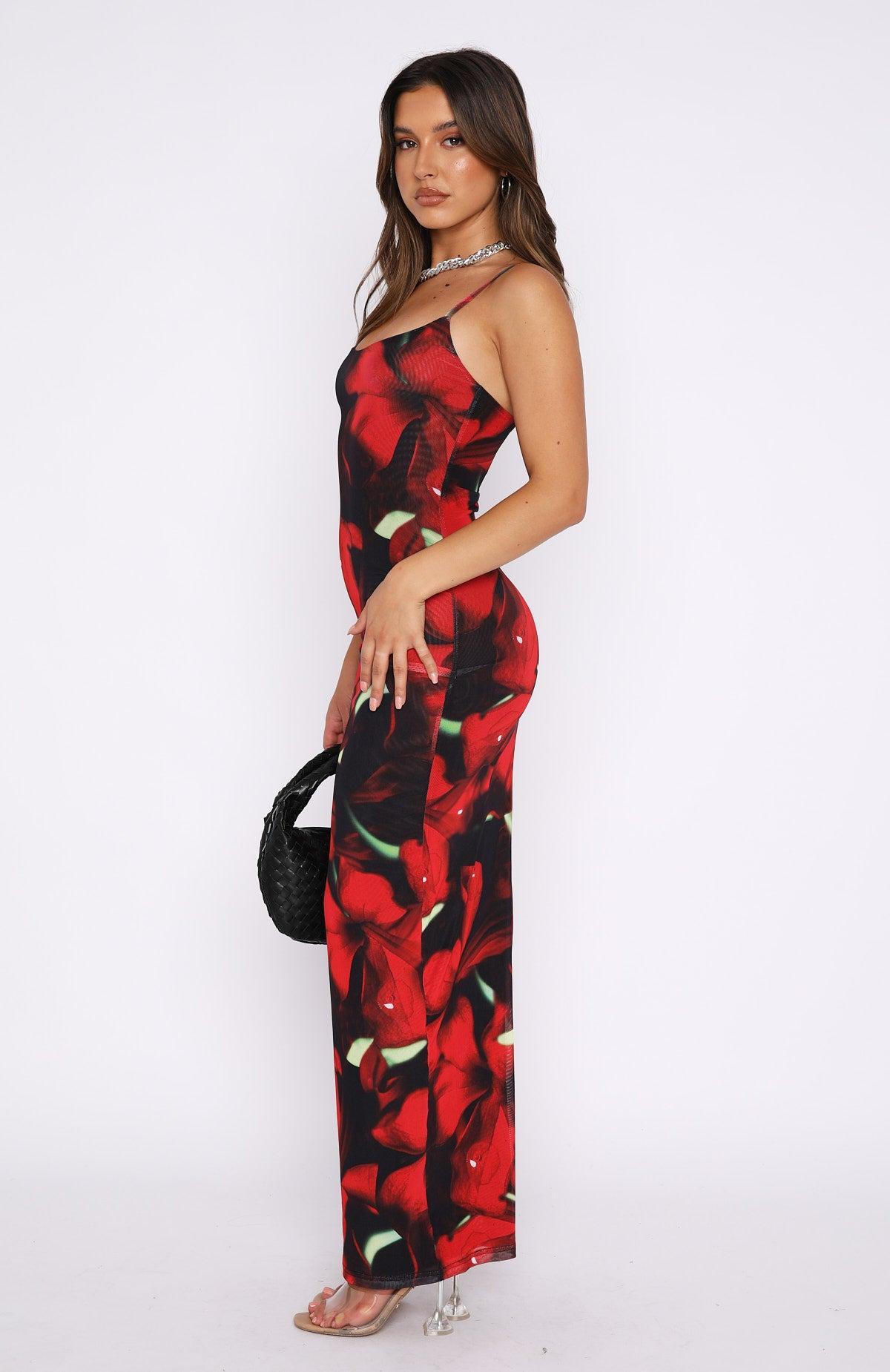 Same Heart Mesh Maxi Dress Red Hibiscus Product Image
