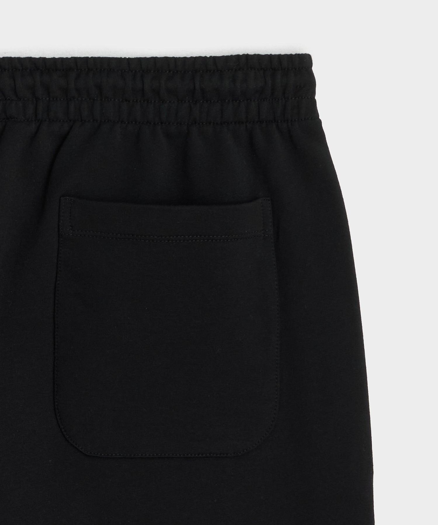 Travel Terry Pintuck Jogger Pant Product Image