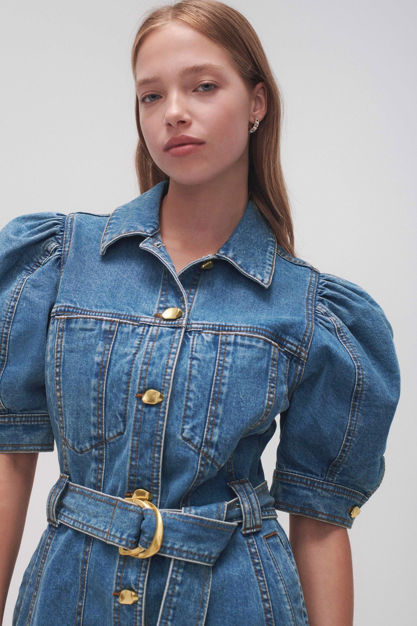 Adriana Puff Sleeve Mini Dress Product Image