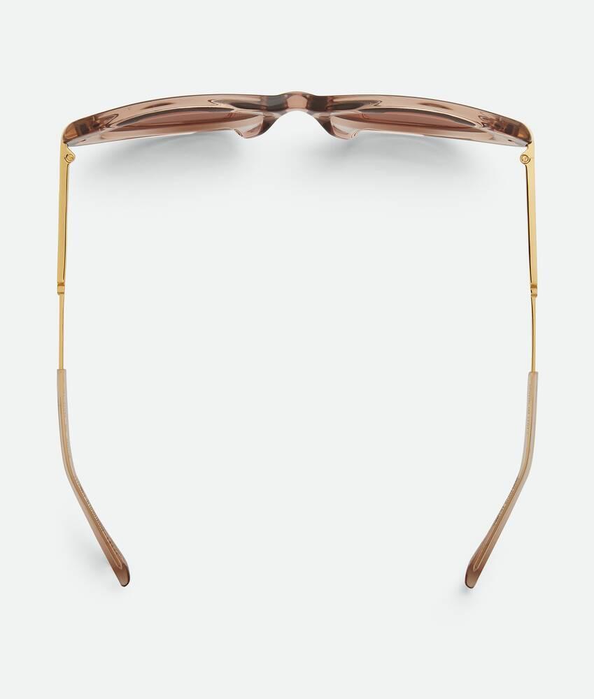 Women's Classic Cat Eye Sunglasses in Brown Product Image