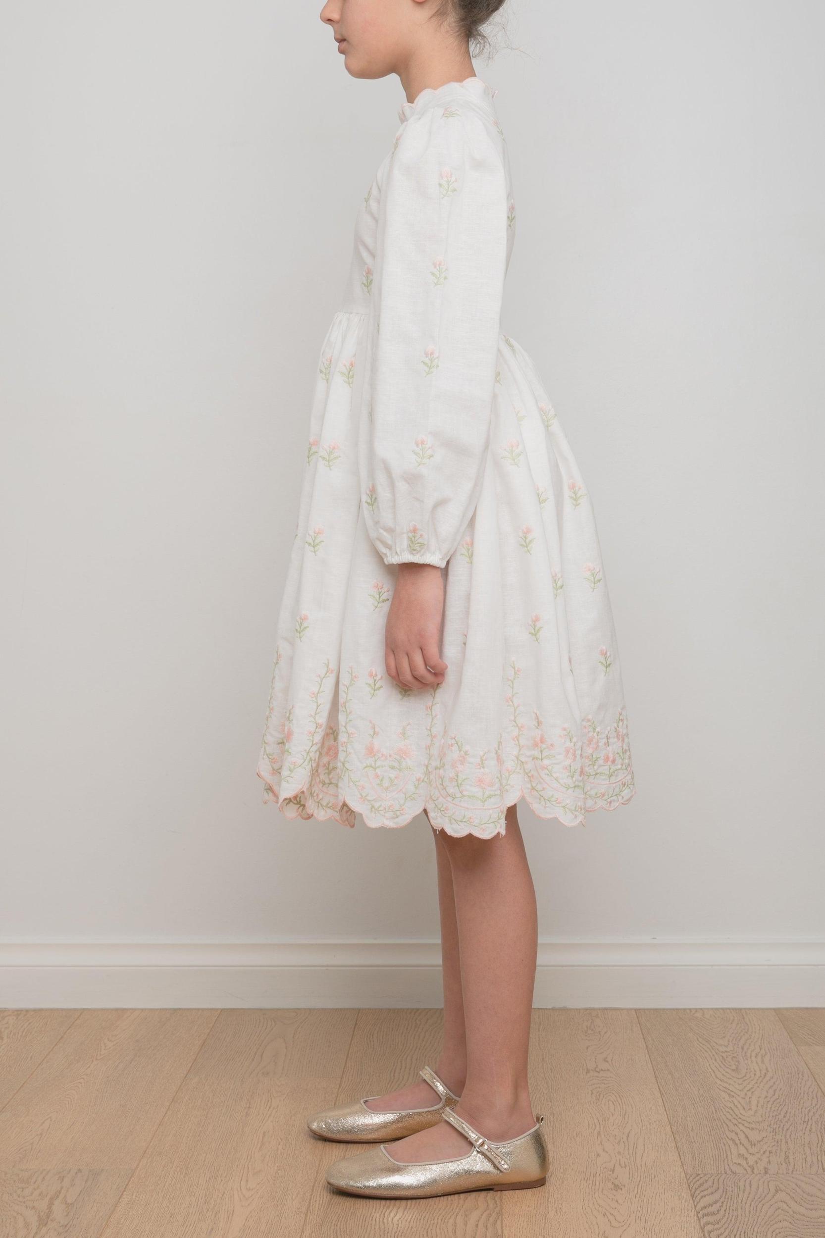Petite Amalie Embroidered Rose Linen Dress Product Image
