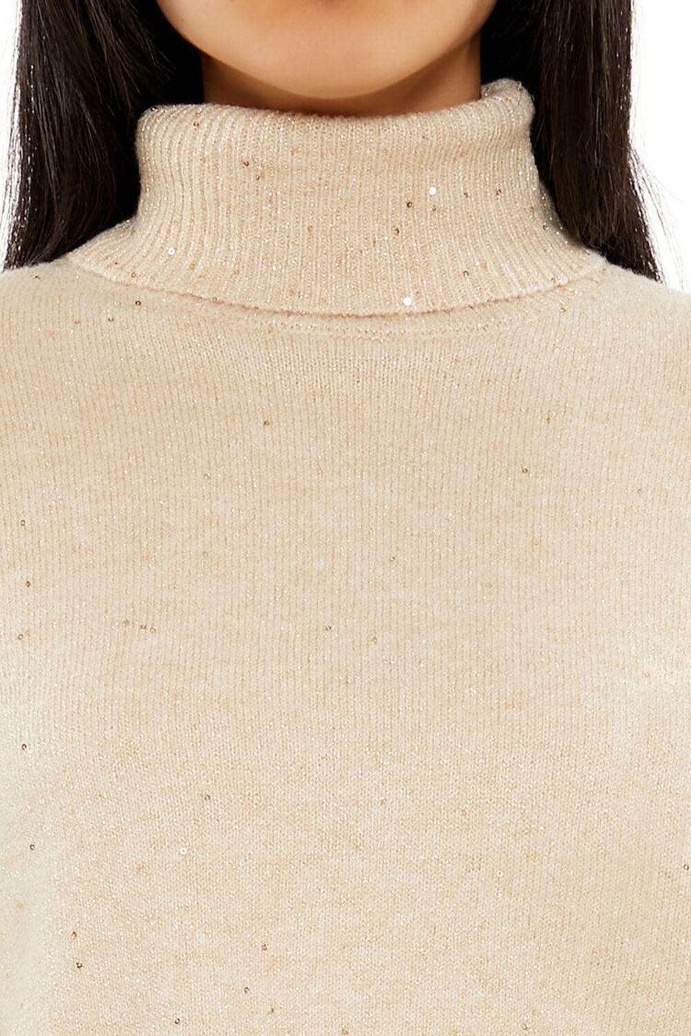 Glitter Knit Turtleneck Sweater | Forever 21 Product Image