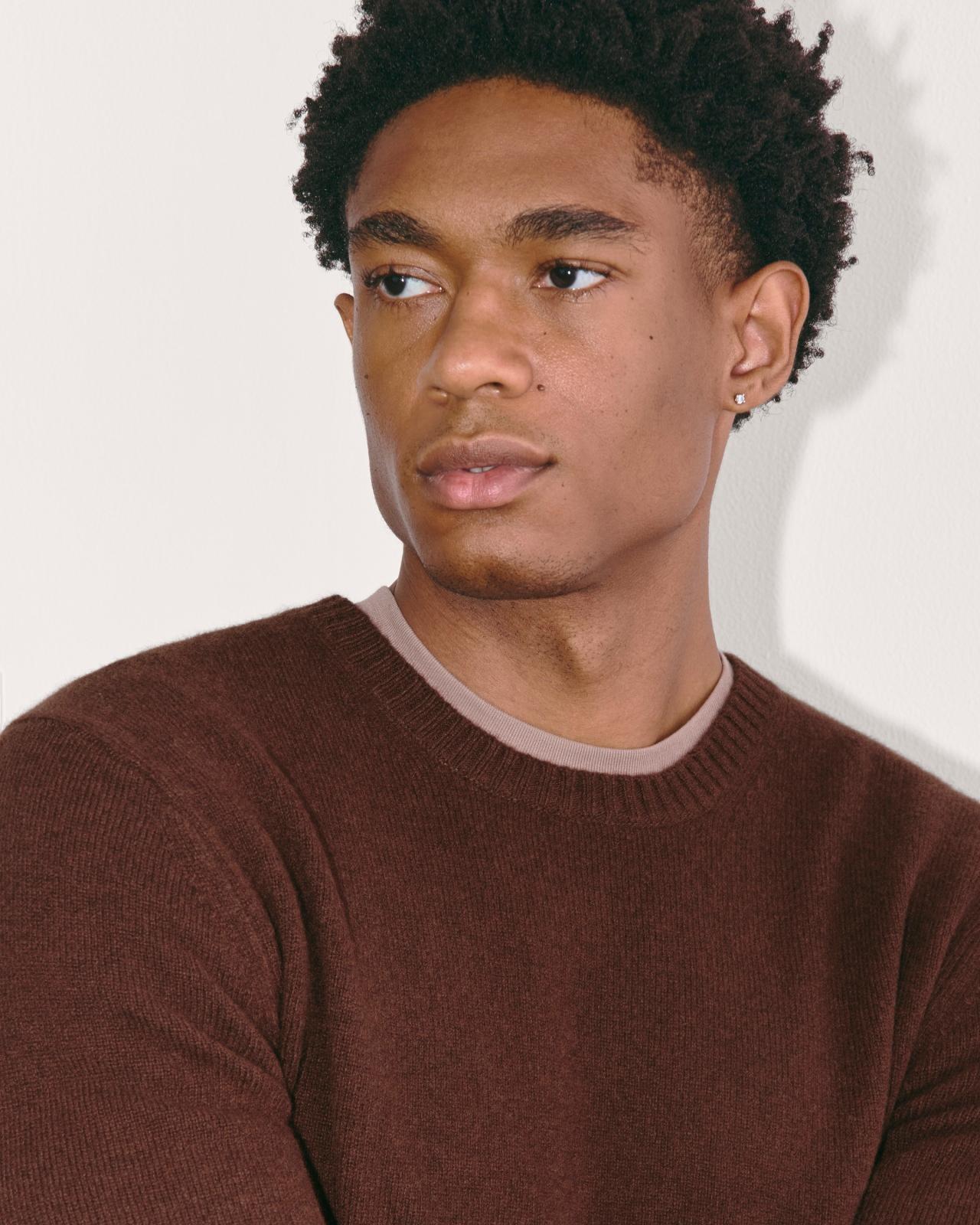 The Premium Merino Crew Neck Sweater Product Image