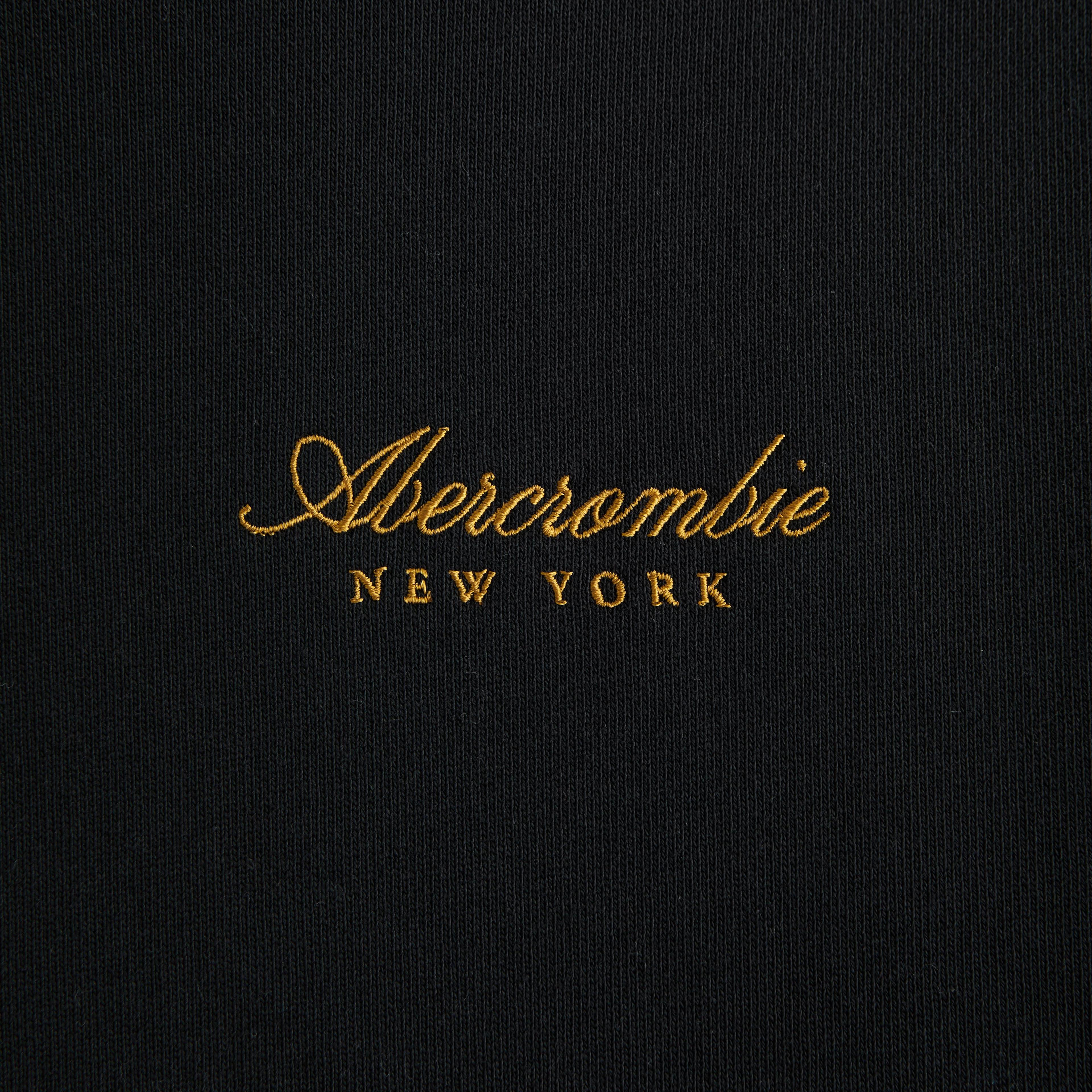 Script Logo Popover Hoodie Product Image