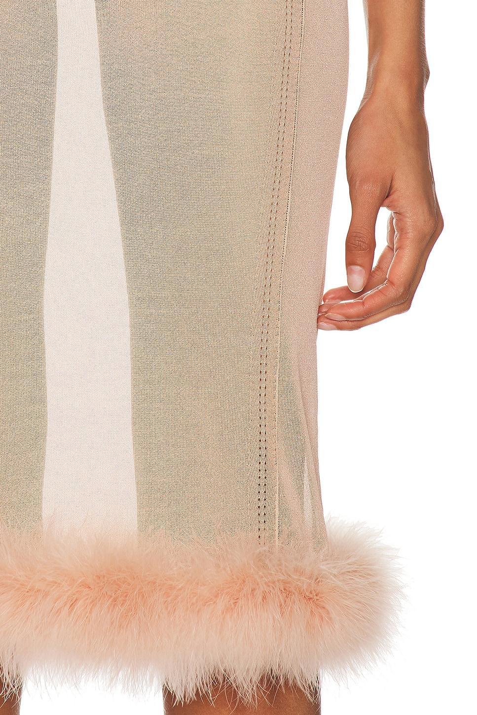 Sheer Midi Skirt Product Image