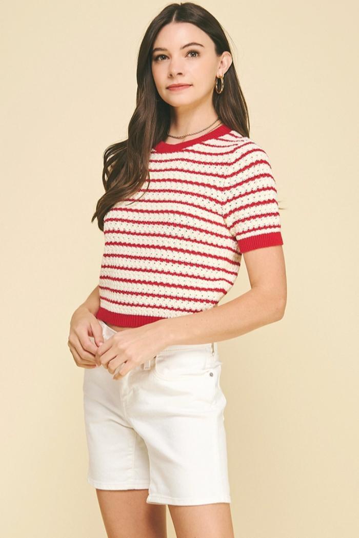 Emilia Short Sleeve Stripe Textured Sweater Product Image