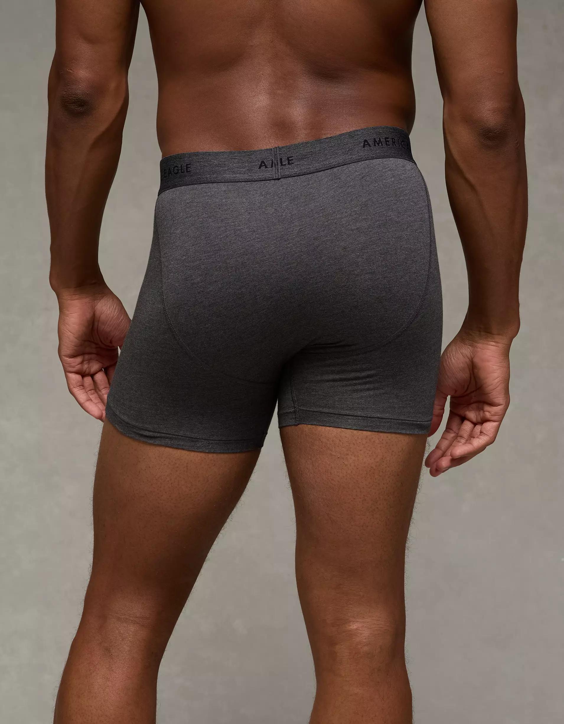 AEO Men's 4.5" Classic Boxer Brief Product Image