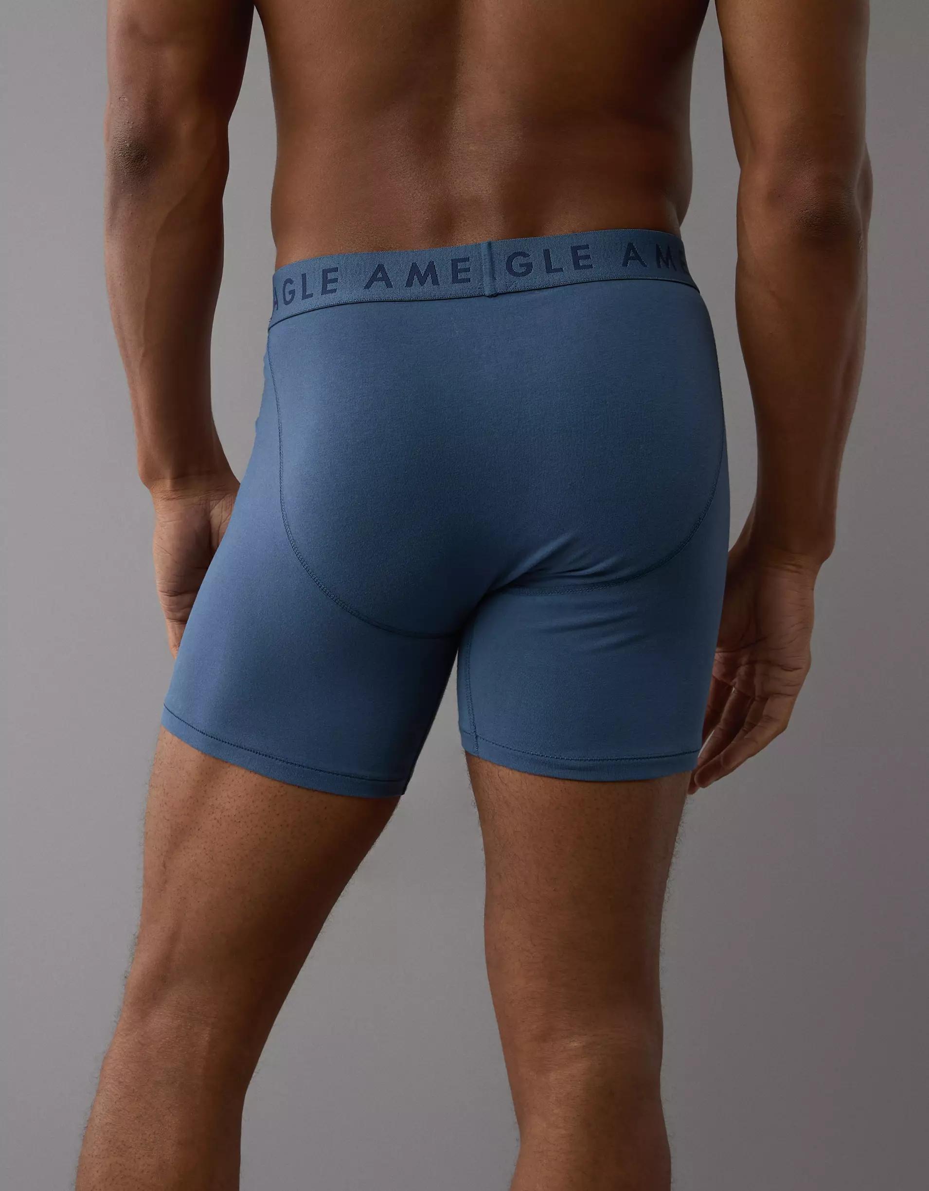 AEO Men's 6" Classic Boxer Brief Product Image