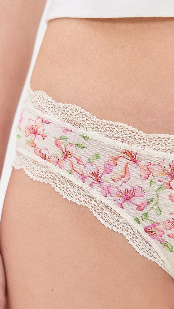 Stripe & Stare The Original Knicker Four Pack | Shopbop Product Image