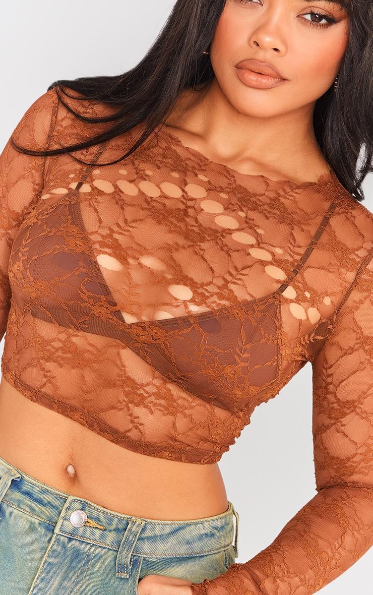 Brown Lace Cut Out Long Sleeve Top Product Image