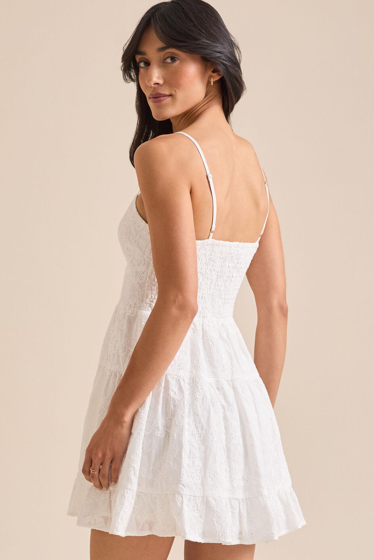Morgan Embroidered Mini Dress Product Image