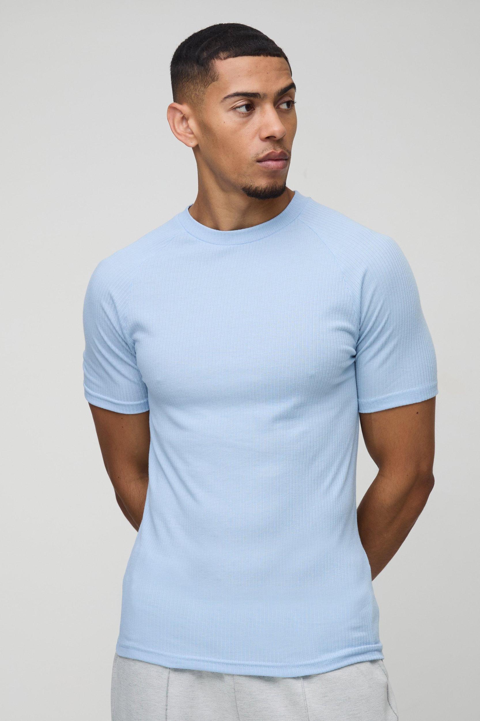 Mens Rib Athlete Raglan T-shirt - Blue Product Image